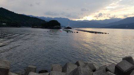 三重県秋イカ調査