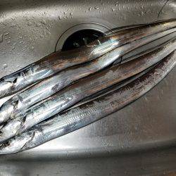 仕事帰りに台風到着前にワインド太刀魚