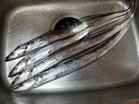 仕事帰りに台風到着前にワインド太刀魚