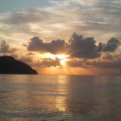 アオリイカ　＜　エギ