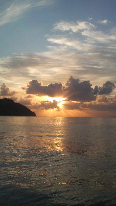 アオリイカ　＜　エギ