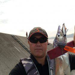 久々のムコイチ太刀魚