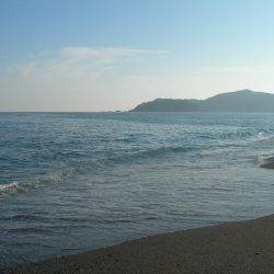 サーフはゴミで釣りづらく、夜になってアオリイカの釣果あり