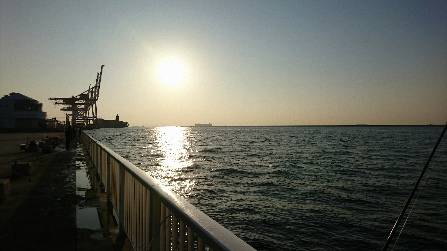 ダブル尺アジ！