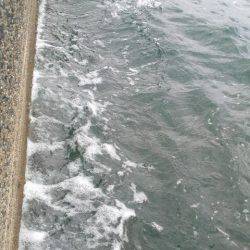 コウちゃんBINGO