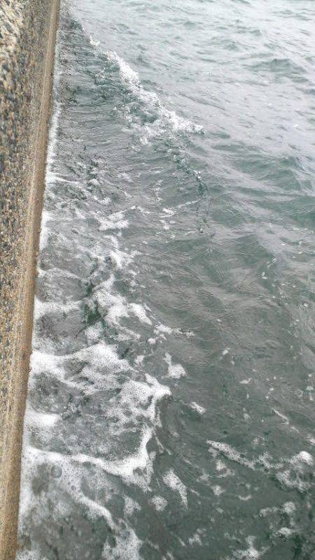 コウちゃんBINGO