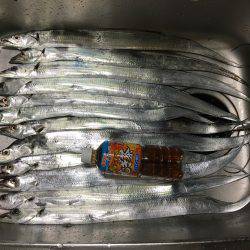 爆釣の武庫一へ!