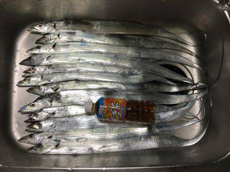 爆釣の武庫一へ！