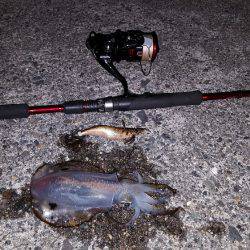 夕方からブラっと