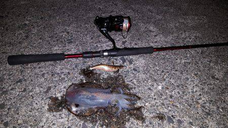 夕方からブラっと