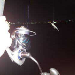 ワインドジャンキー引退します。