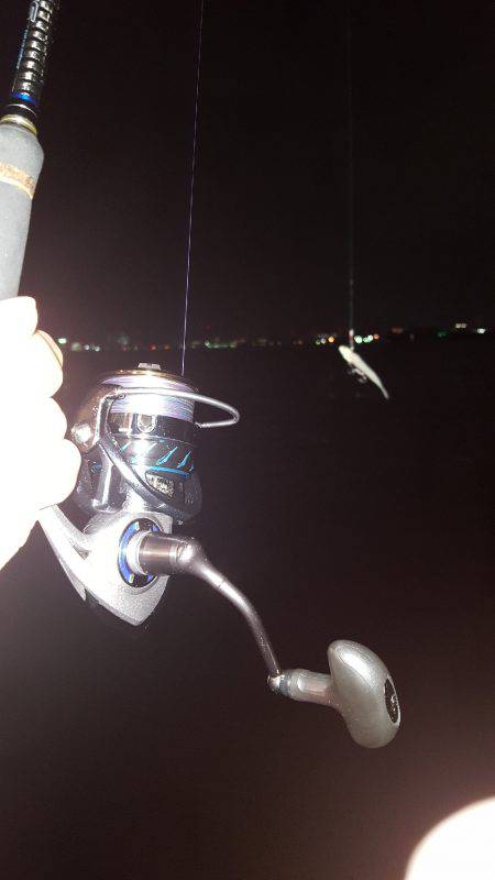 ワインドジャンキー引退します。