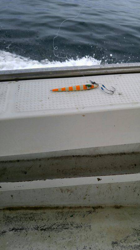 釣れていたはずのハマチ釣り