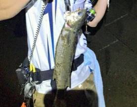 台風後　雲出川アタック