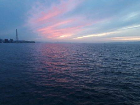 アオリイカ連発