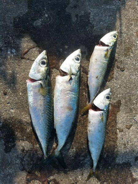 またまた、兵庫突定♪(笑)