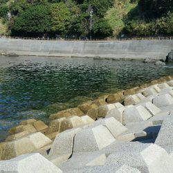 気合い入れてのエギング！