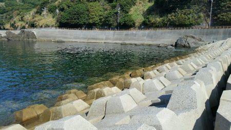 気合い入れてのエギング！