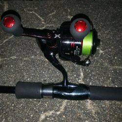 お持ち帰りサイズ❗️