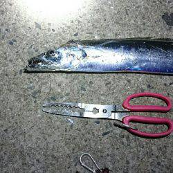 ちょっと刀狩り