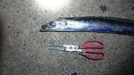 ちょっと刀狩り