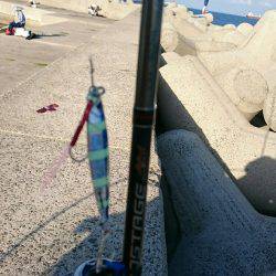 届かないナブラ