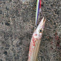 炸裂小太刀狩り‼