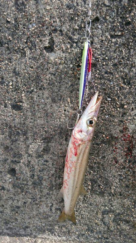 炸裂小太刀狩り‼