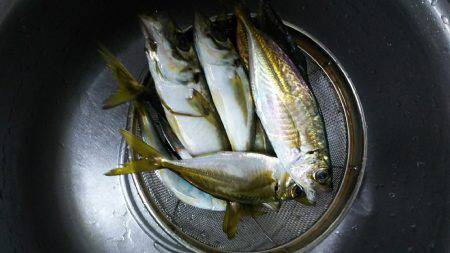 アジング中毒⁉️