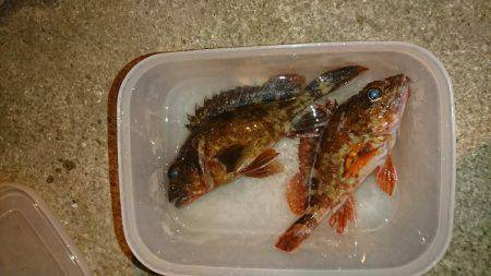 短時間の強風ガシリング