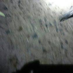 満員御礼 小太刀狩り