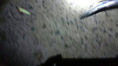 満員御礼 小太刀狩り