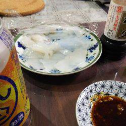 初のアオリイカ