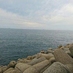 ゼッタイ30ハマチ