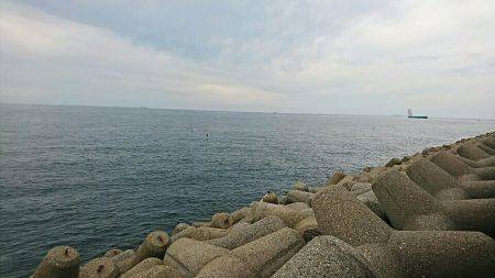 ゼッタイ30ハマチ