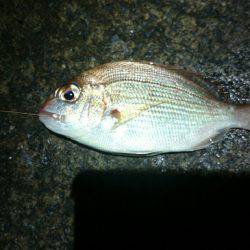 ミッション完了