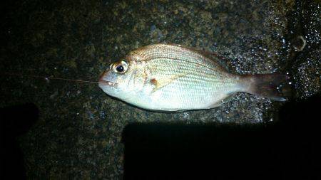 ミッション完了