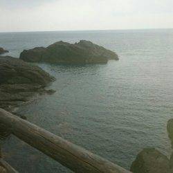 越前エギングランガン