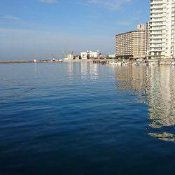 夜明け前からサビキ釣り♪