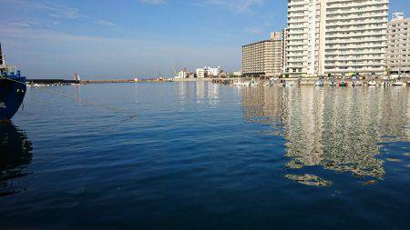 夜明け前からサビキ釣り♪
