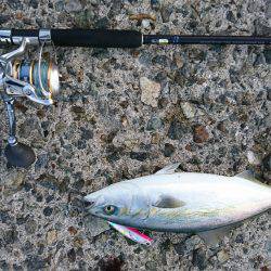 朝マズメ 楽しめました♪