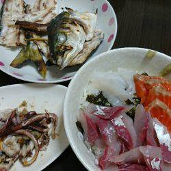 イカ、ツバス なんとかget♪