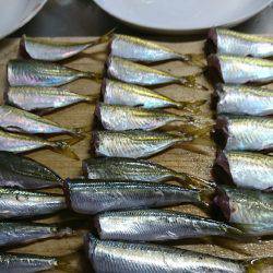 子供とファミリーフィッシング♪