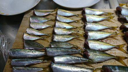 子供とファミリーフィッシング♪