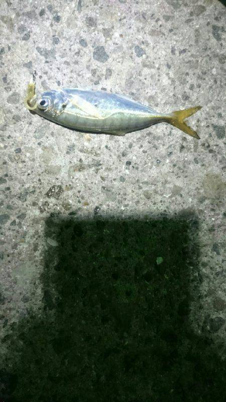 まだまだですな。