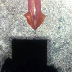 やはり雨の日は人が少ない