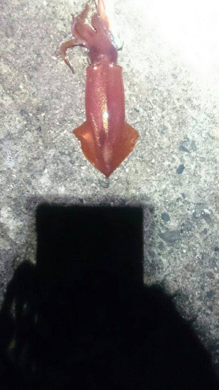 やはり雨の日は人が少ない