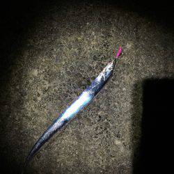 マリンピア沖洲でてんや