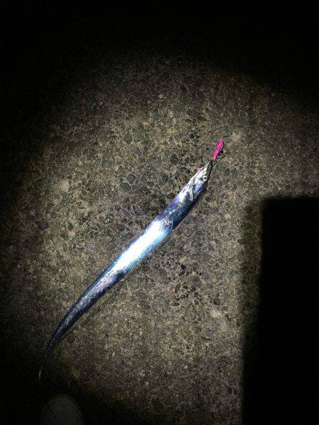 マリンピア沖洲でてんや