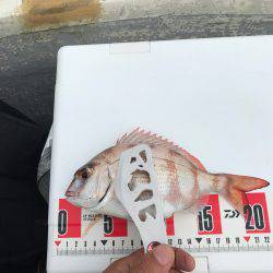 伊東でボート！